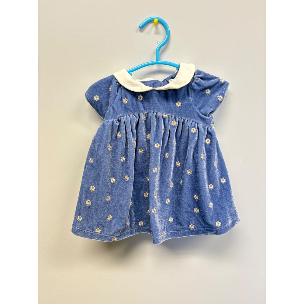 Janie and Jack Baby Girls Blue Velvet Floral Embroidered Dress 0-3 Months